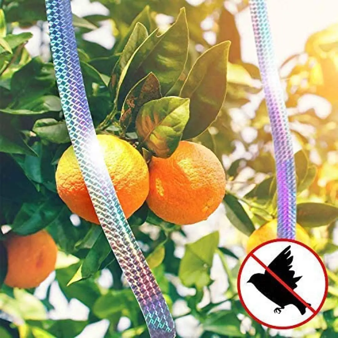 Bird Scare Laser Tape Repellents Double Sided Pigeons Birds Away Reflective Ribbon Deterrent Tapes for Outdoor Garden Orchard