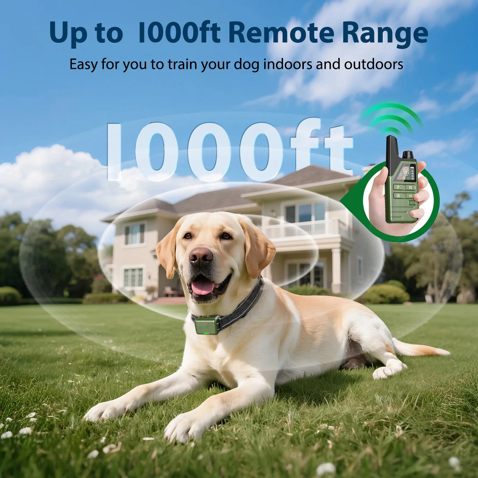 Thumbnail 3 - #9 Latest Puppy Training Offers