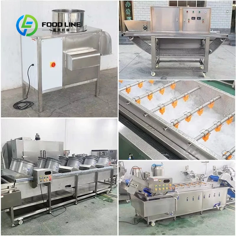 Customized size Small automatic garlic production line Garlic separation, peeling washing and air dryer