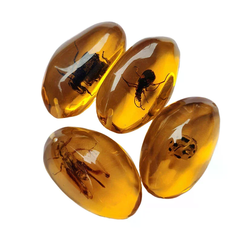 1pc insetos âmbar pedra preciosa escorpião pedras naturais e minerais decoração de casa insetos âmbar pedra preciosa diy artesanato à mão presente
