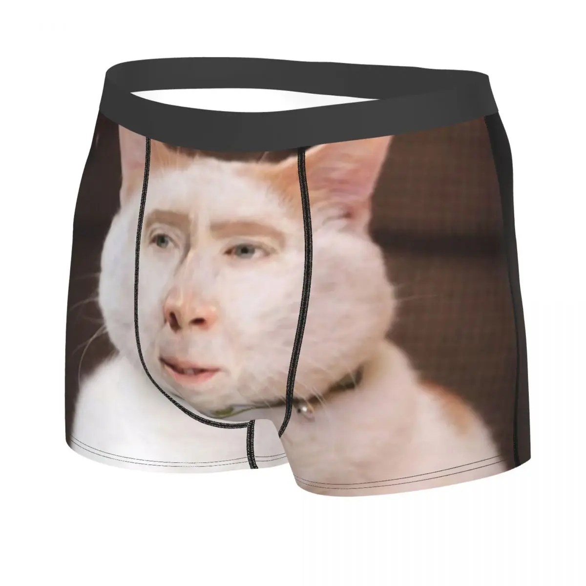 Nicolas Cage Cat Meme Boxer Shorts For Homme 3D Print Underwear Panties Briefs Soft Underpants