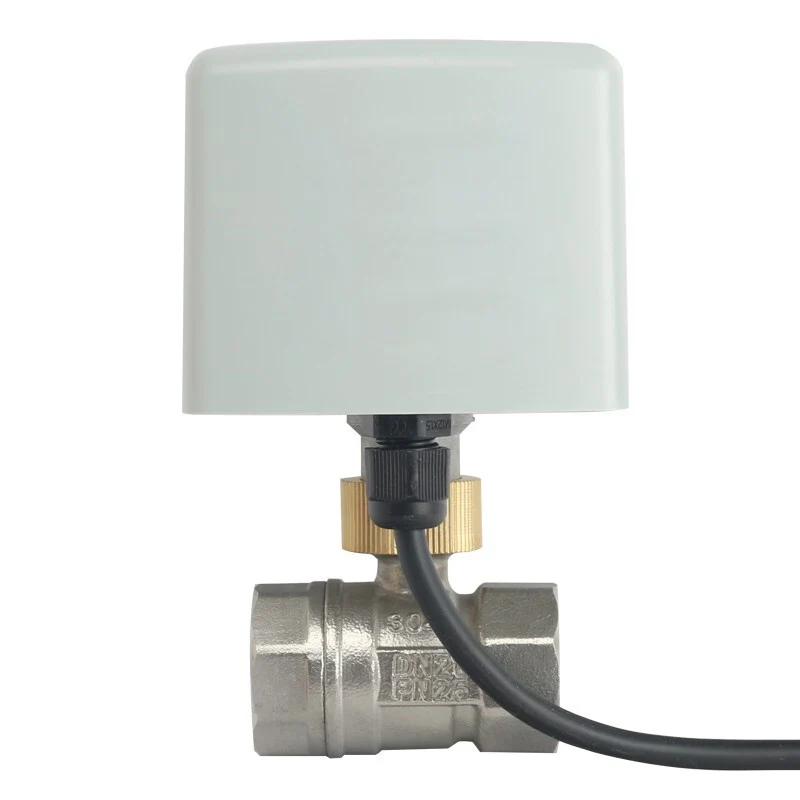 Imagem -03 - Motorizado Ball Valve 3-wire Controle Latão Válvula de Esfera Elétrica 220v ac 12v dc 24v dc Aço Inoxidável 304