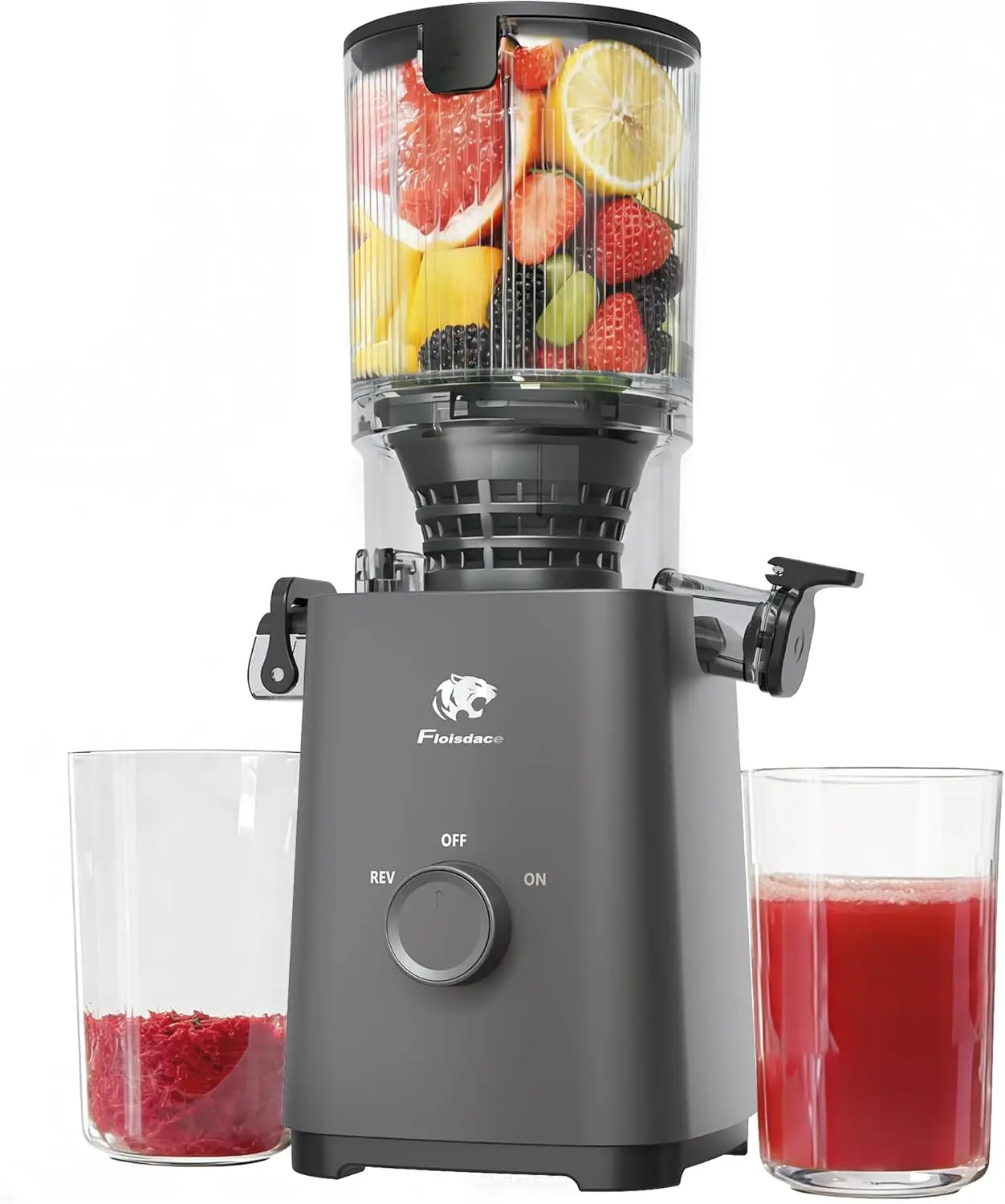 

5.3" Wide Chute Slow Masticating Juicer, Powerful Brushless Motor, 99% Juice Yield, Ultra Quiet & Easy Clean