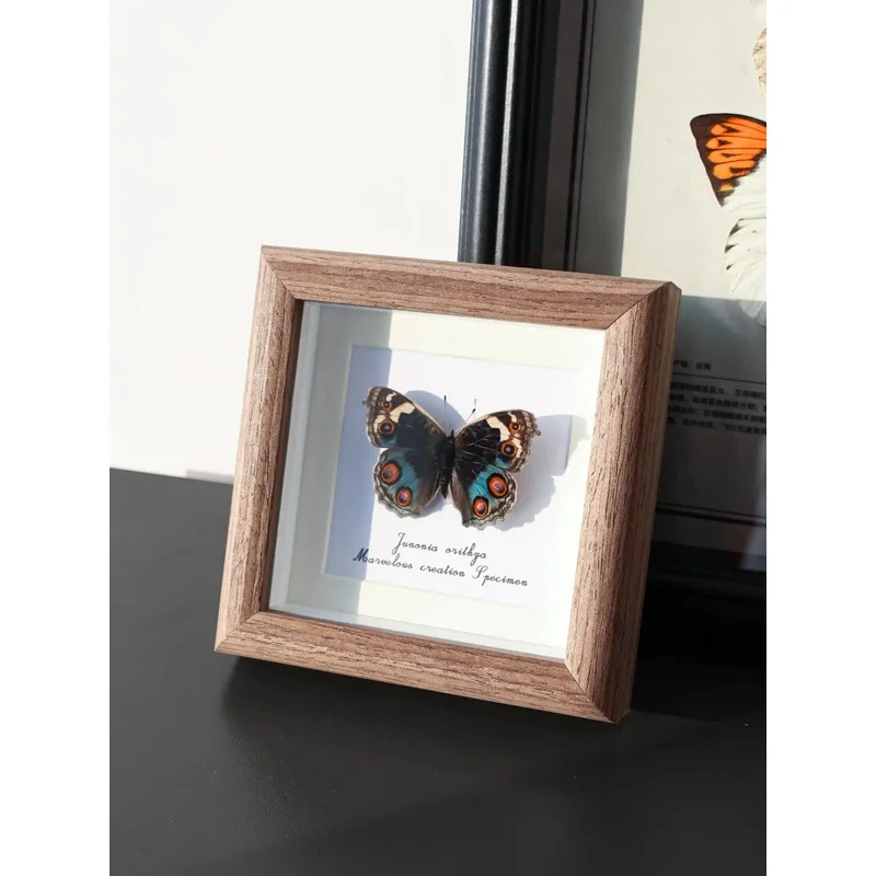 Junonia Orithya Butterfly 4‑Inch Square Wood Glass Frame, Handmade Artwork, Wall & Table Ornament, Home Decor, Creative Gift