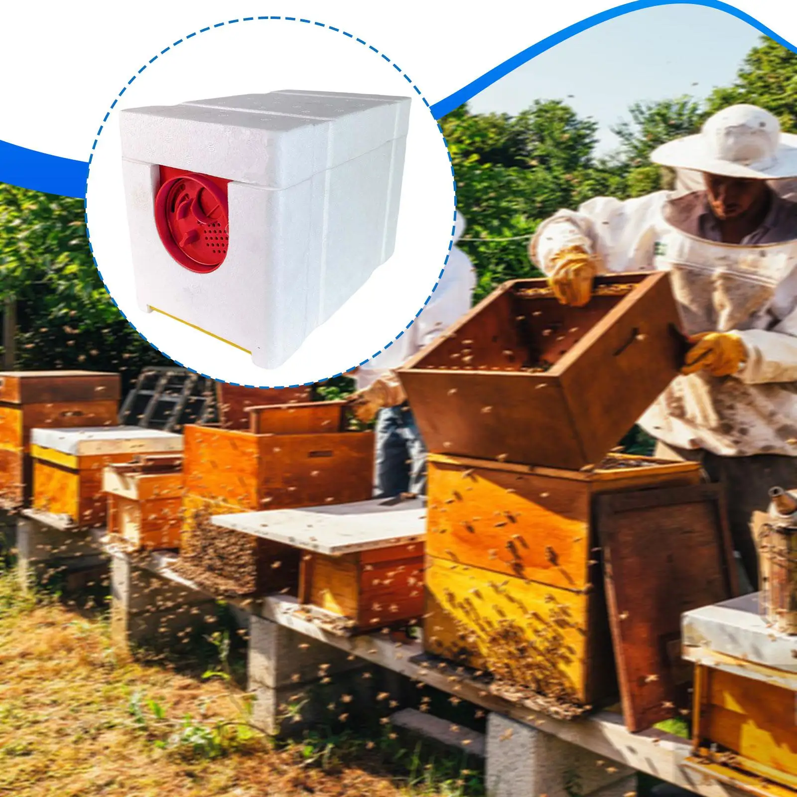 Bee Breeding Box DIY Polystyrene Beekeeping Equipment Nucleus Hive for Efficient Pollination Harvest