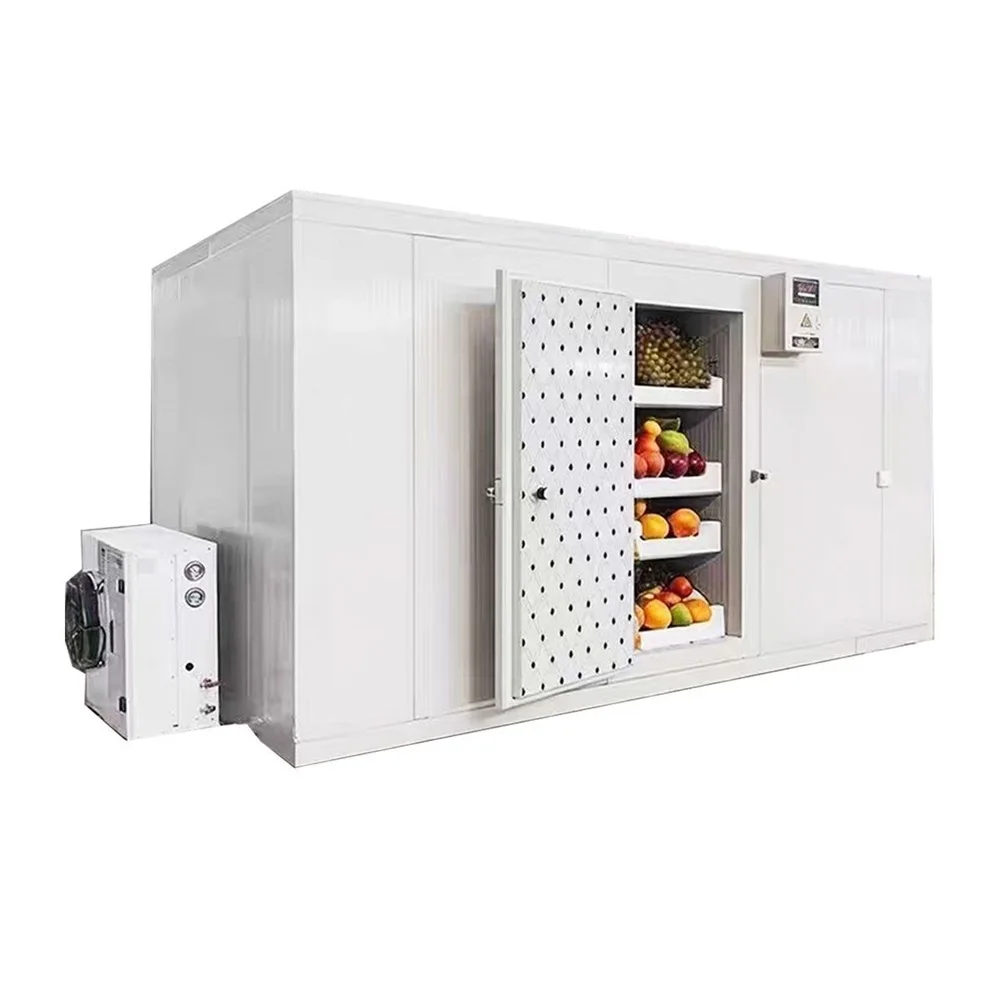 Portable Mobile Industrial Container Walk in Freezer Room Deep Freezer Food Storage Cold Room Customized