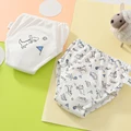 2 pcs