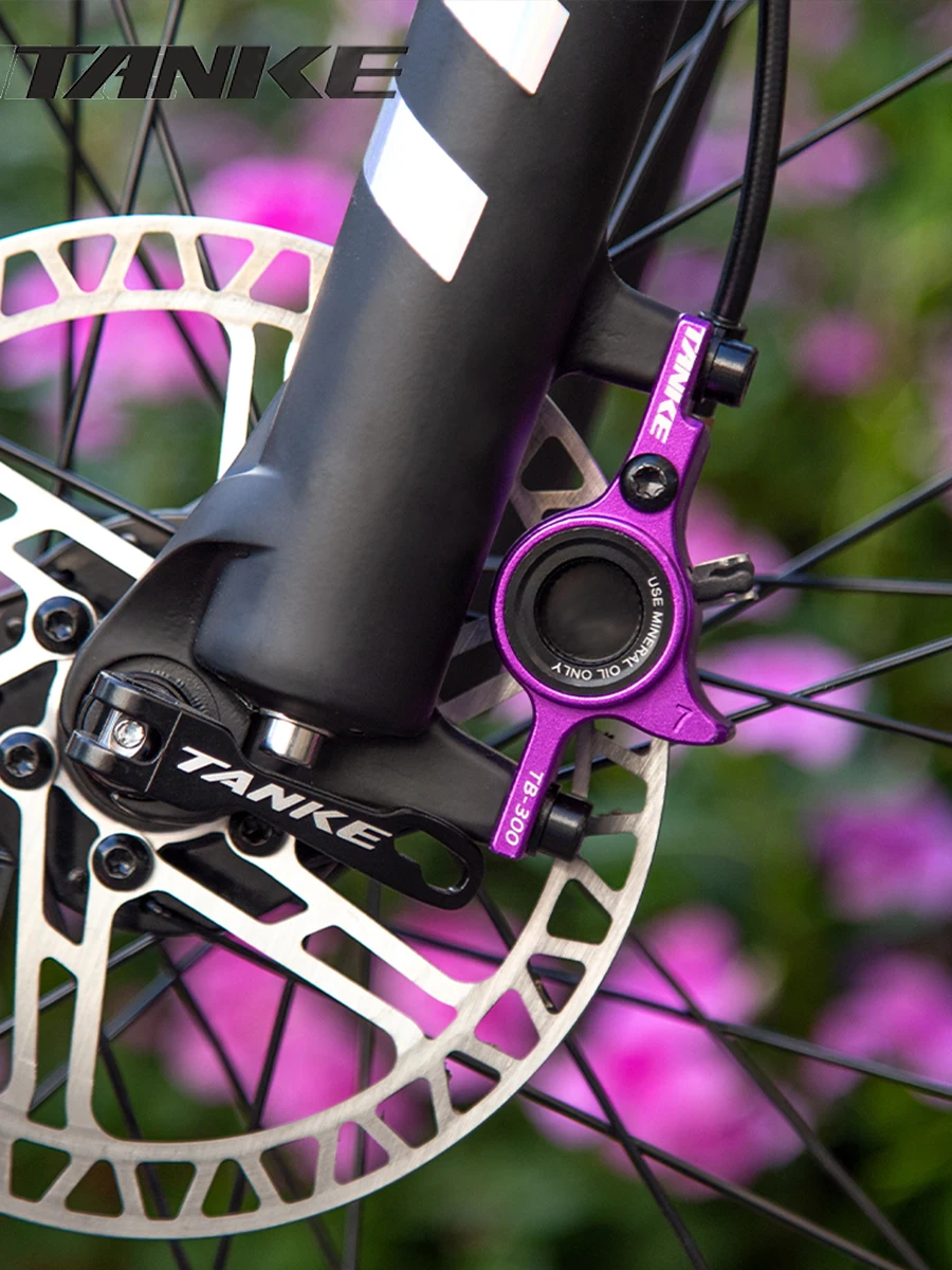 AliExpress TANKE Mountain Bike Hydraulic Disc Brake Kit with 160mm Rotors, Hydraulic Calipers, Front and Rear Mounts, and 22.2mm Handlebar