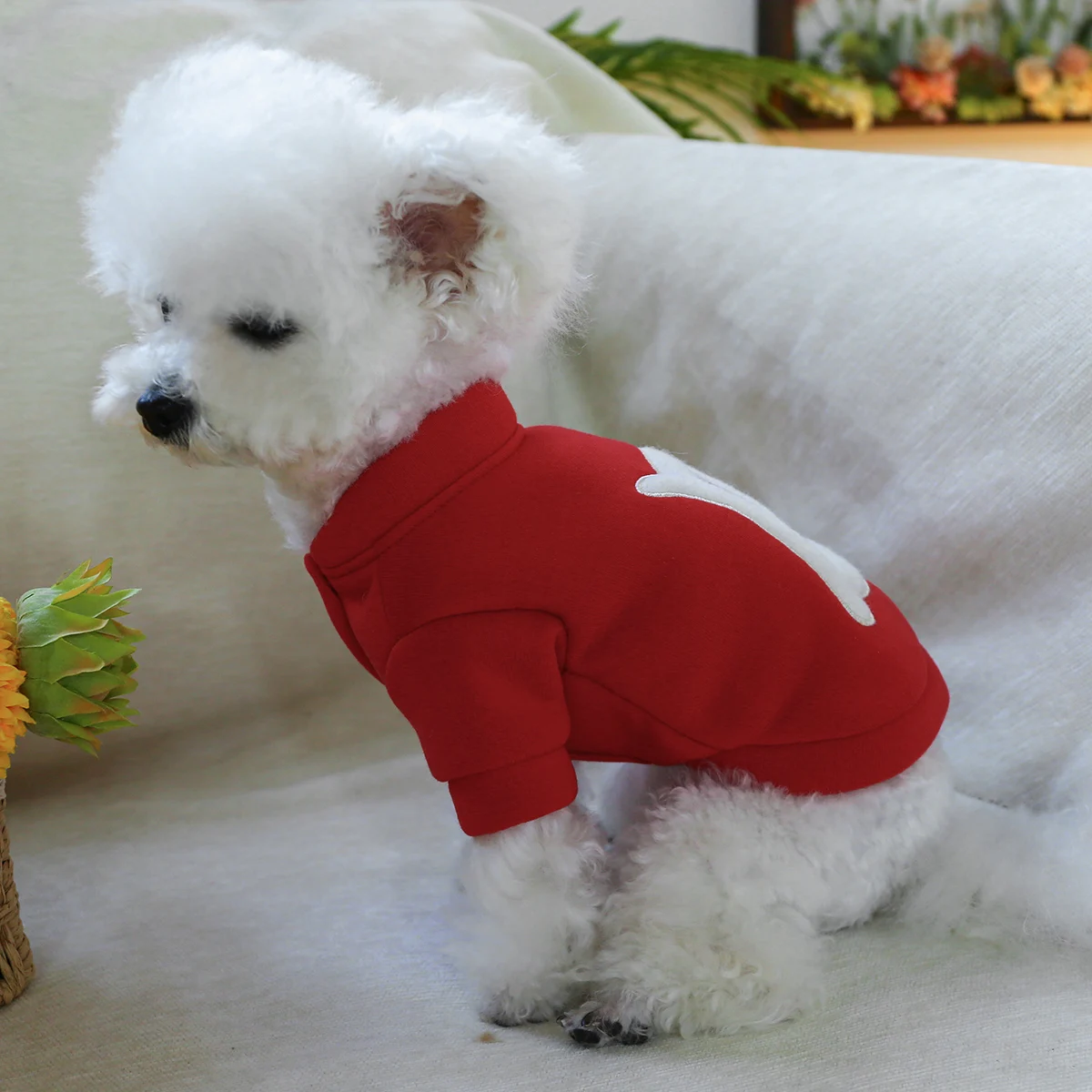 1PC pet clothing cat spring and autumn plush thickened red letter B jacket suitable for small and medium-sized dogs