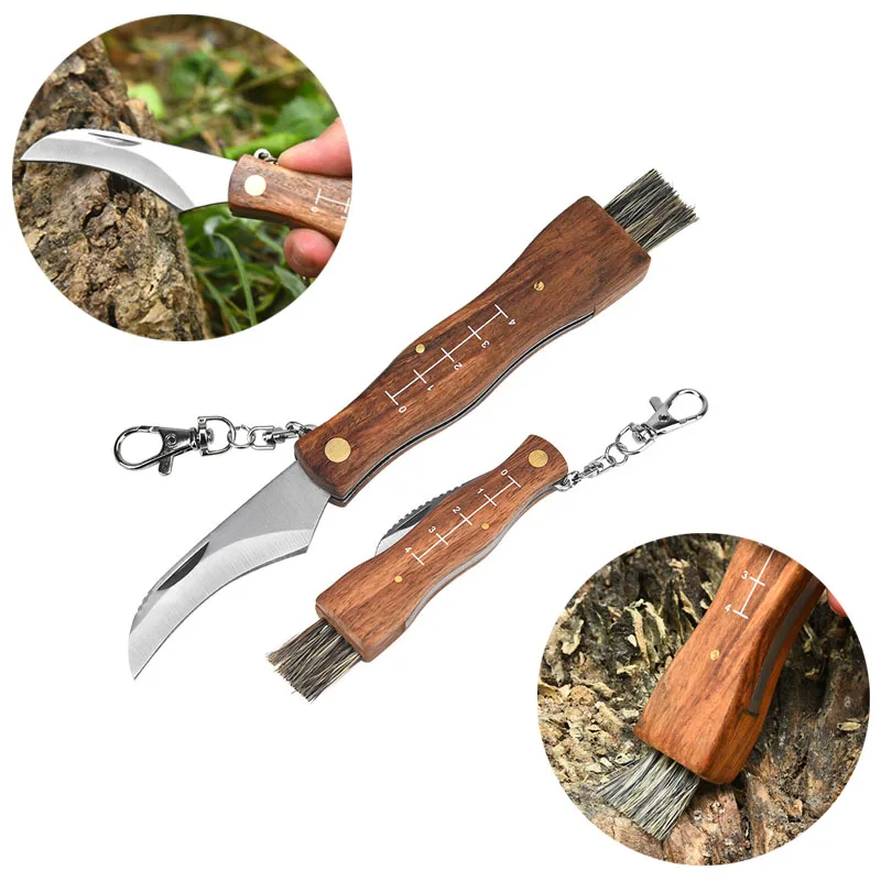 Mushroom Knife Fungus Knife Folding Camping Hunting Truffle Harvest Sharp Knives Natural Wood Handle with Bristle Brush SS Blade