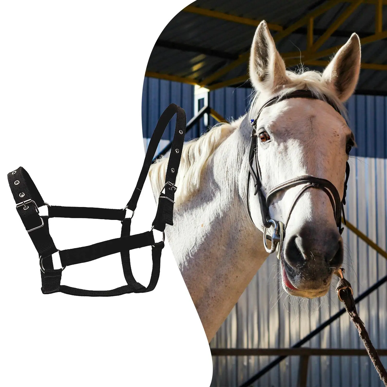 Arnês para Cavalo Confortável, Equipamento de Treinamento, Suprimentos Equestres Ajustáveis para Fazenda, Cuidados, Celeiro, Pastagem e Transporte