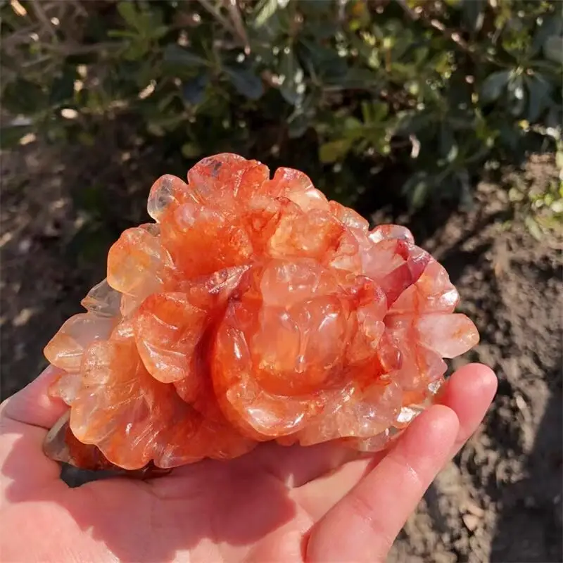 Natural Red Fire Quartz Hematoid Penoy Flower Carving Polished Healing Stones Gemstones Holiday Home Decoration Gift 1pcs