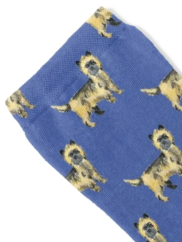 Cairn Terrier Illustration Socks gifts designer Socks For Girls Men's