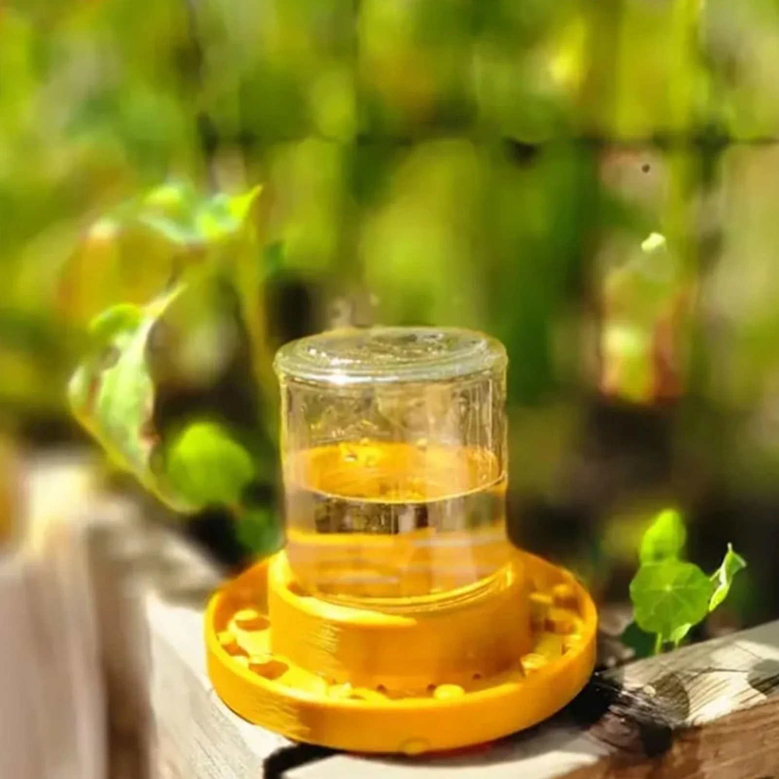 Beehive Entrance Feeder Insect Waterer with for Regular Mouth Mason Jar Thoughtful Gift for Beekeeper