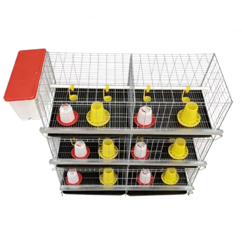 

Chicken Cage Little Baby Chicks Egg Broiler Chicken Cage Drinking System Poultry Chicken Feeding Cages Aquaculture Traps