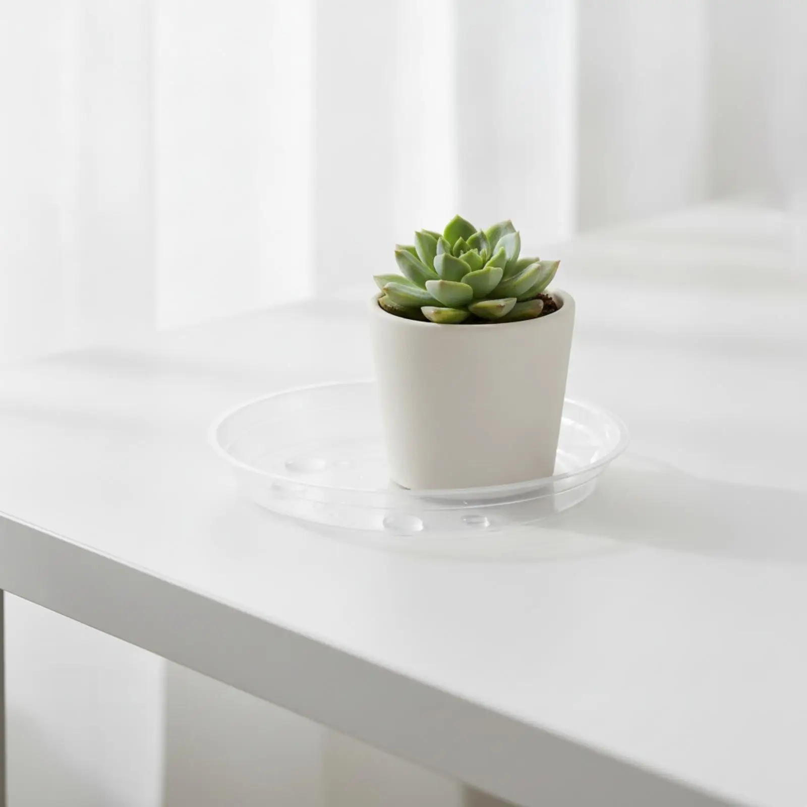 Clear PET Plastic Round Plant Saucer Tray for Flower Pots Indoor Outdoor Drip Tray Water Catcher