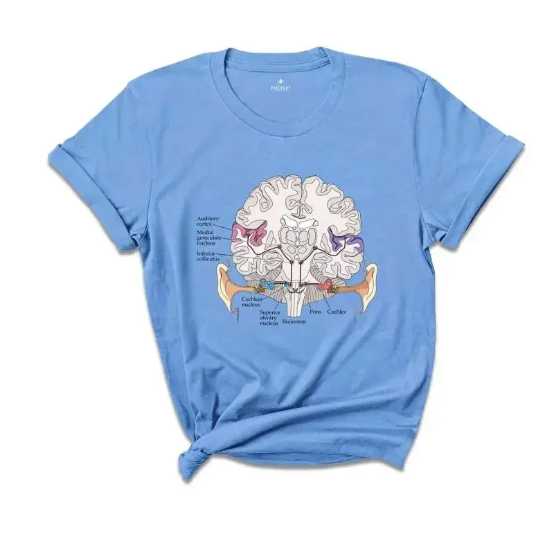 Auditory pathway Shirt, Anatomical Brain Shirt, Anatomy Shirts, Nursing Student