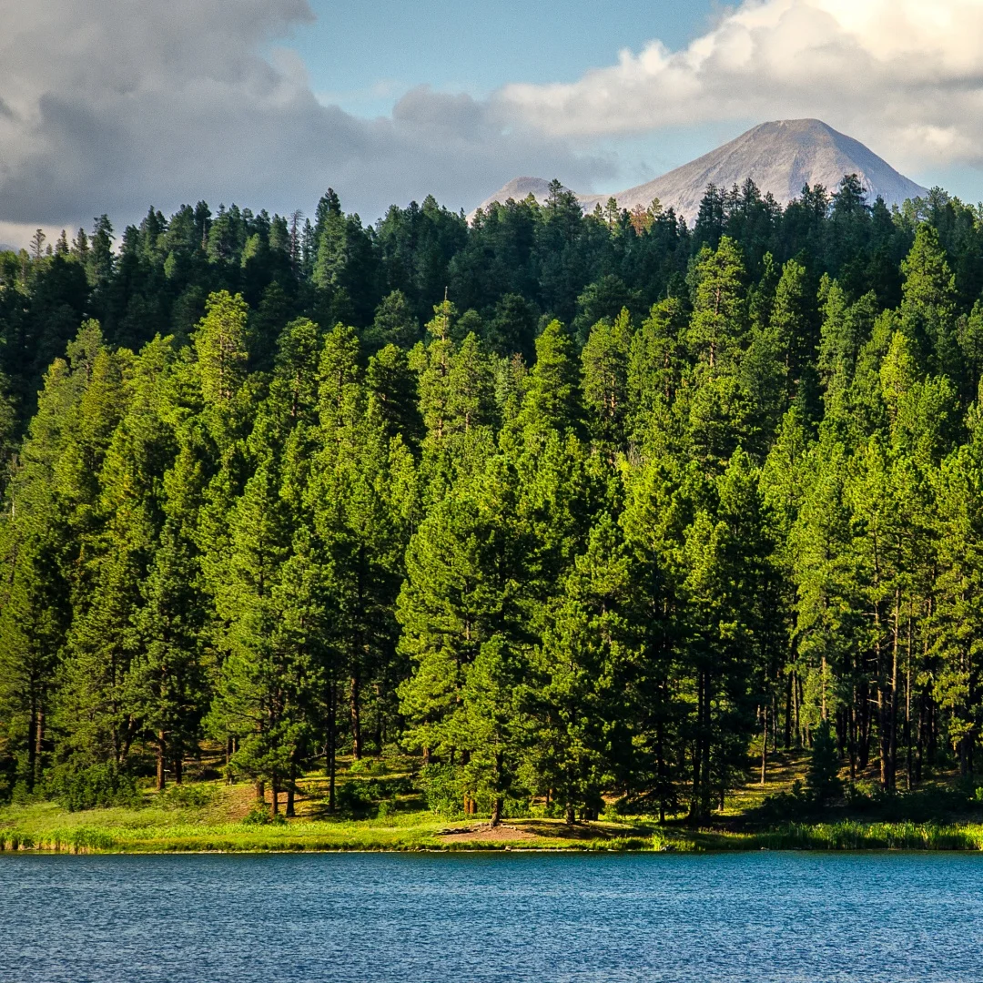 

Android 13 Carplay For Alfa Romeo Giulia Stelvio 2015-2020 Car Radio Multimedia Player Screen GPS Navi Stereo Head Unit WiFi