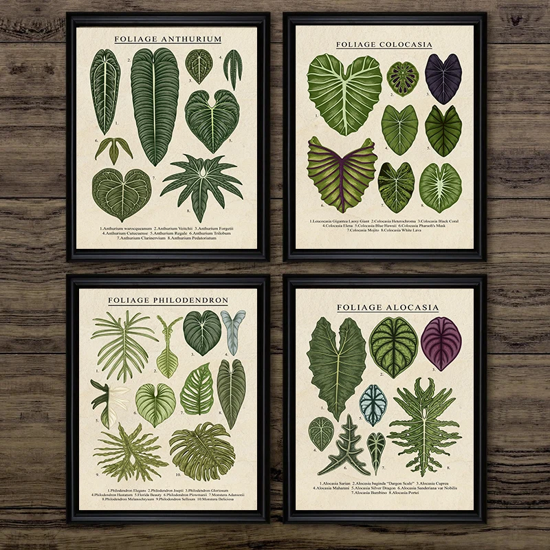 Follaje, Anthurium, Colocasia, Alocasia, plantas, lienzo, pintura, póster de hoja, arte de pared para decoración de sala de estar, imagen de decoración del hogar