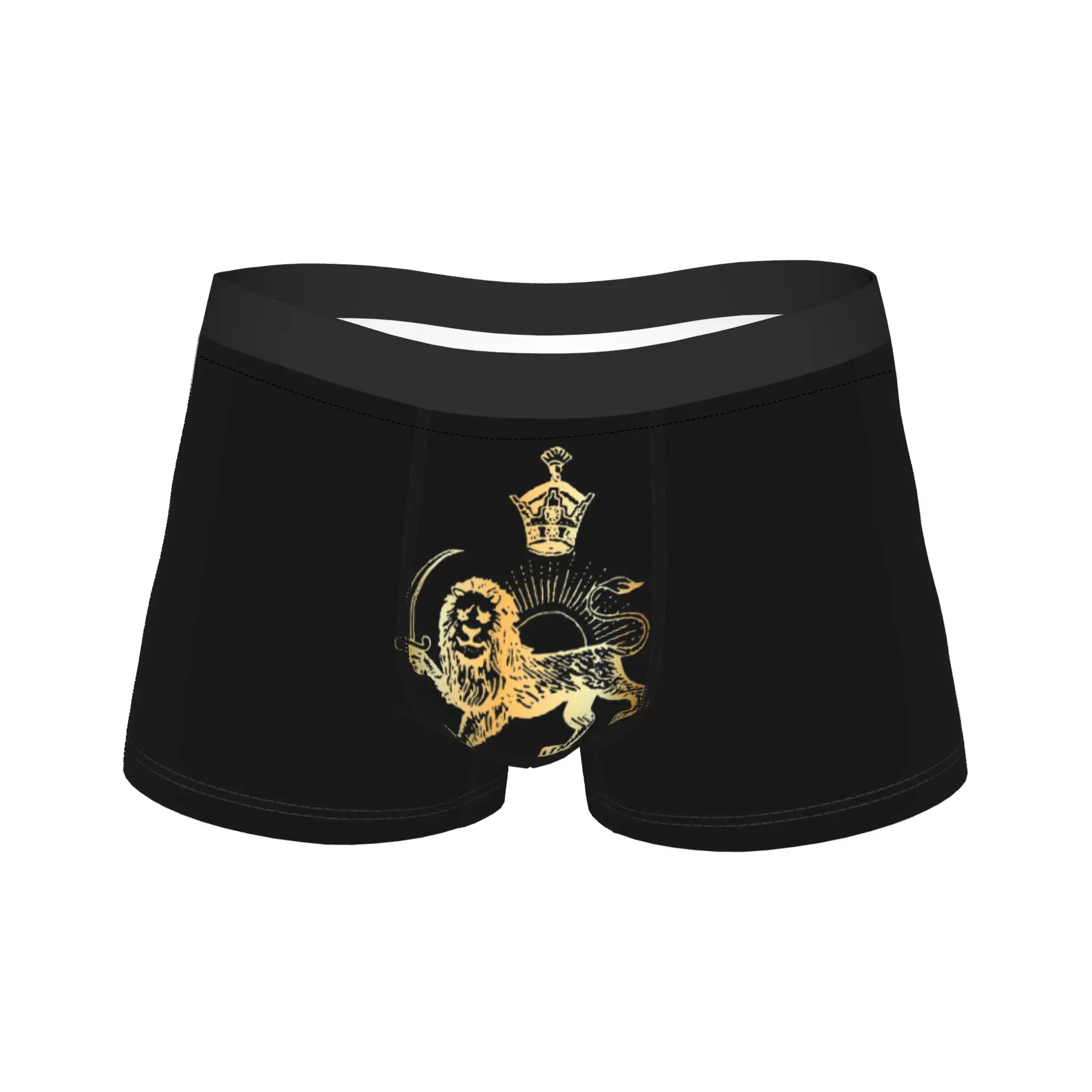 

Lion and Sun Emblem of Persia Iran Boxer Brief Underwear Trenky Males Comfortable Boxershorts Custom DIY Plus Size Underpants