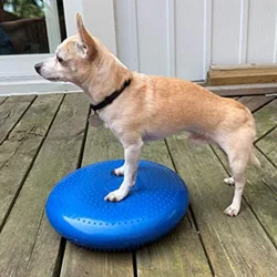 Dogs Training Aids Balance Flying Saucer Fitness Sports Muscle Atrophy Dog Agility Toy Pet Rehabilitation Training Products