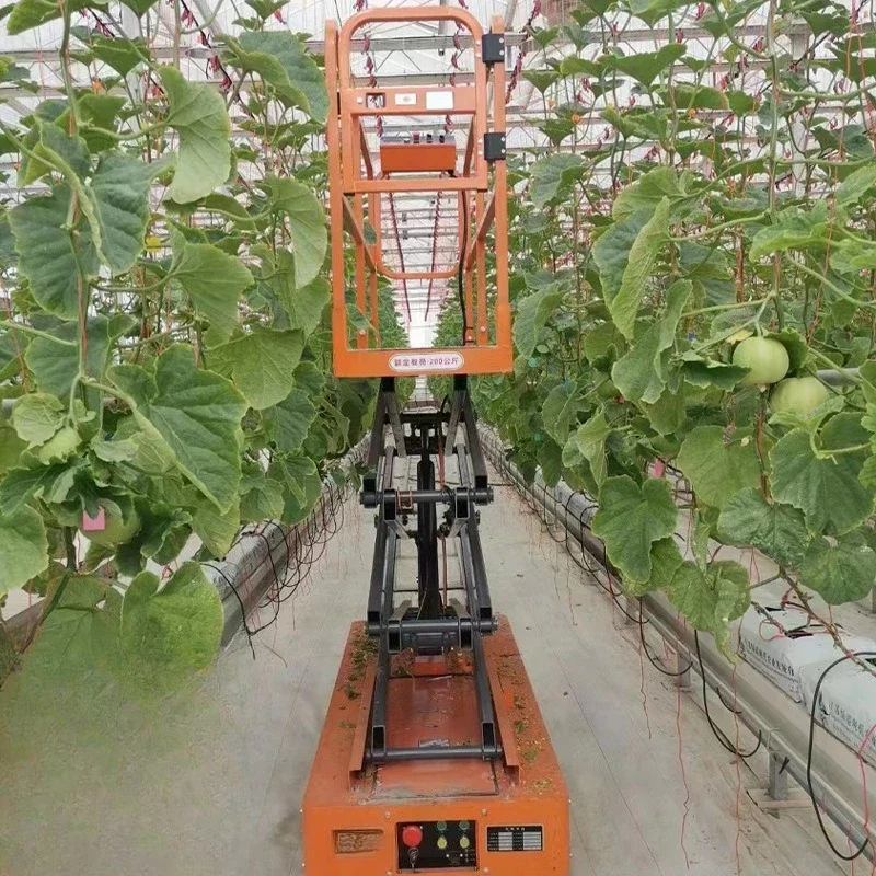 Small greenhouse greenhouse picker 200KG multi-functional fruit and vegetable electric picker
