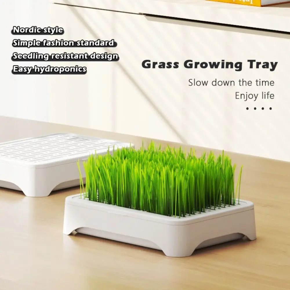 Plastic Hydroponic Seeding Tray Self-planted Reusable Cat Grass Nursery Pot Multi-functional Growth Planter Garden Supplies