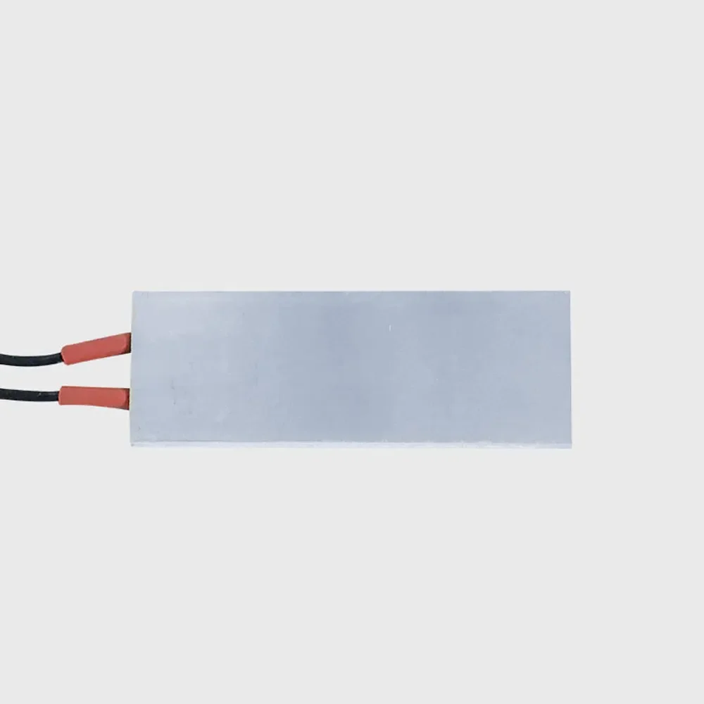 Imagem -03 - Aquecedor Elétrico Ptc Sensor de Aquecimento Termostato Constante Caixa de Alumínio 12v 24v 36v 48v 110v e 220v