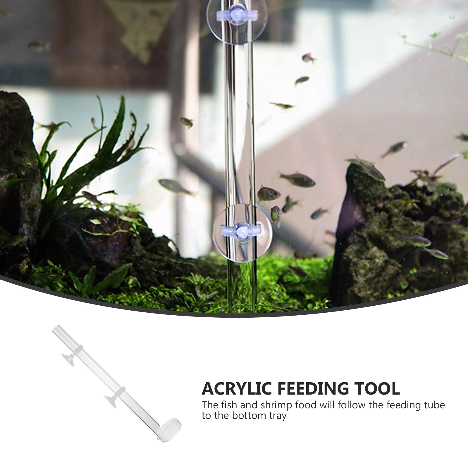 Fish Tank Feeding Tube Transparent Food Feeder Shrimp Tool Aquarium with Sucker Acrylic Suction Cup Supply