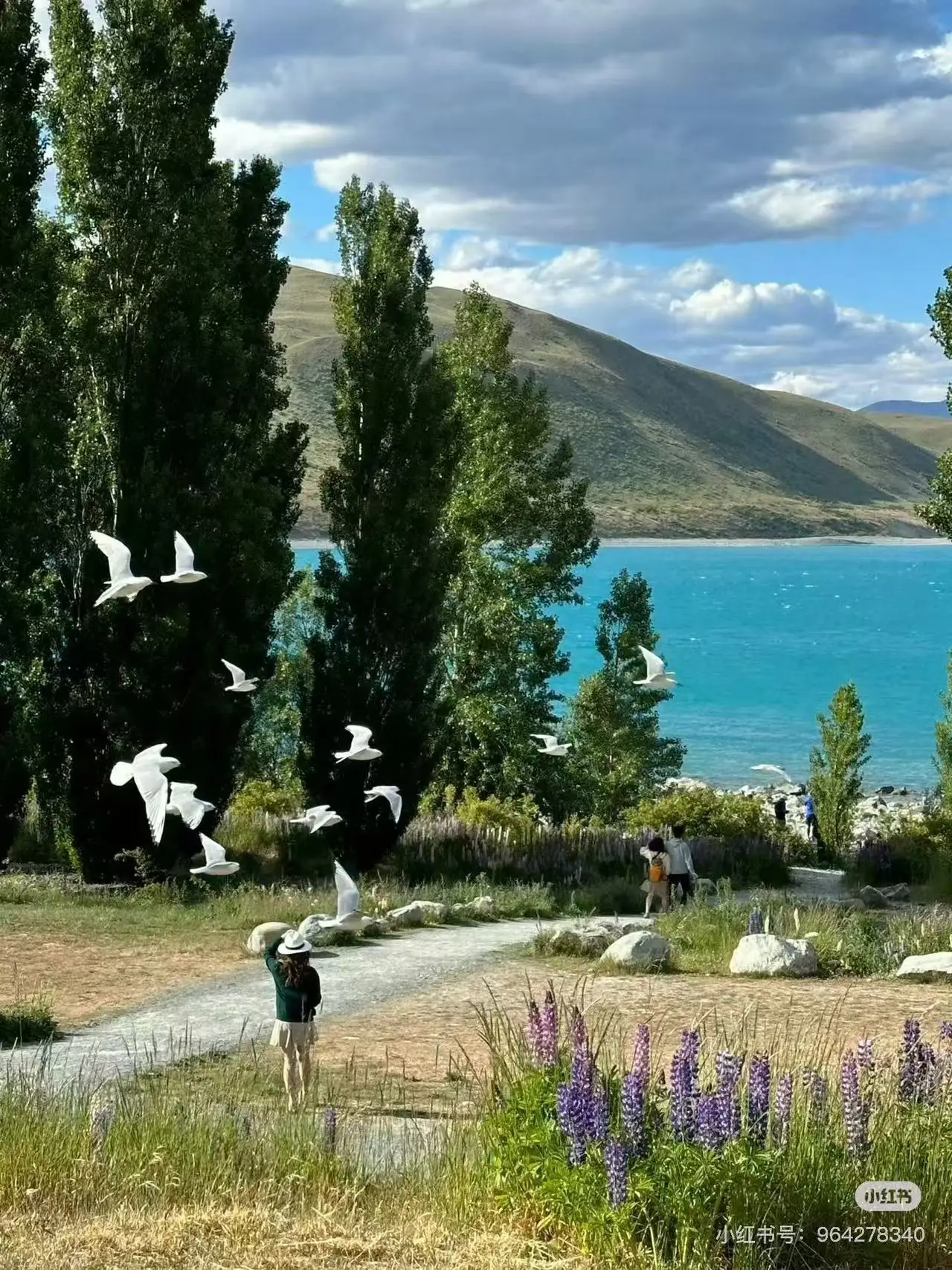 Nieuwe 3D gezichtshuidanalysator AI huidanalysator gezichtshuidanalysator huidanalysescanner 15,6 / 21,5-inch selectie