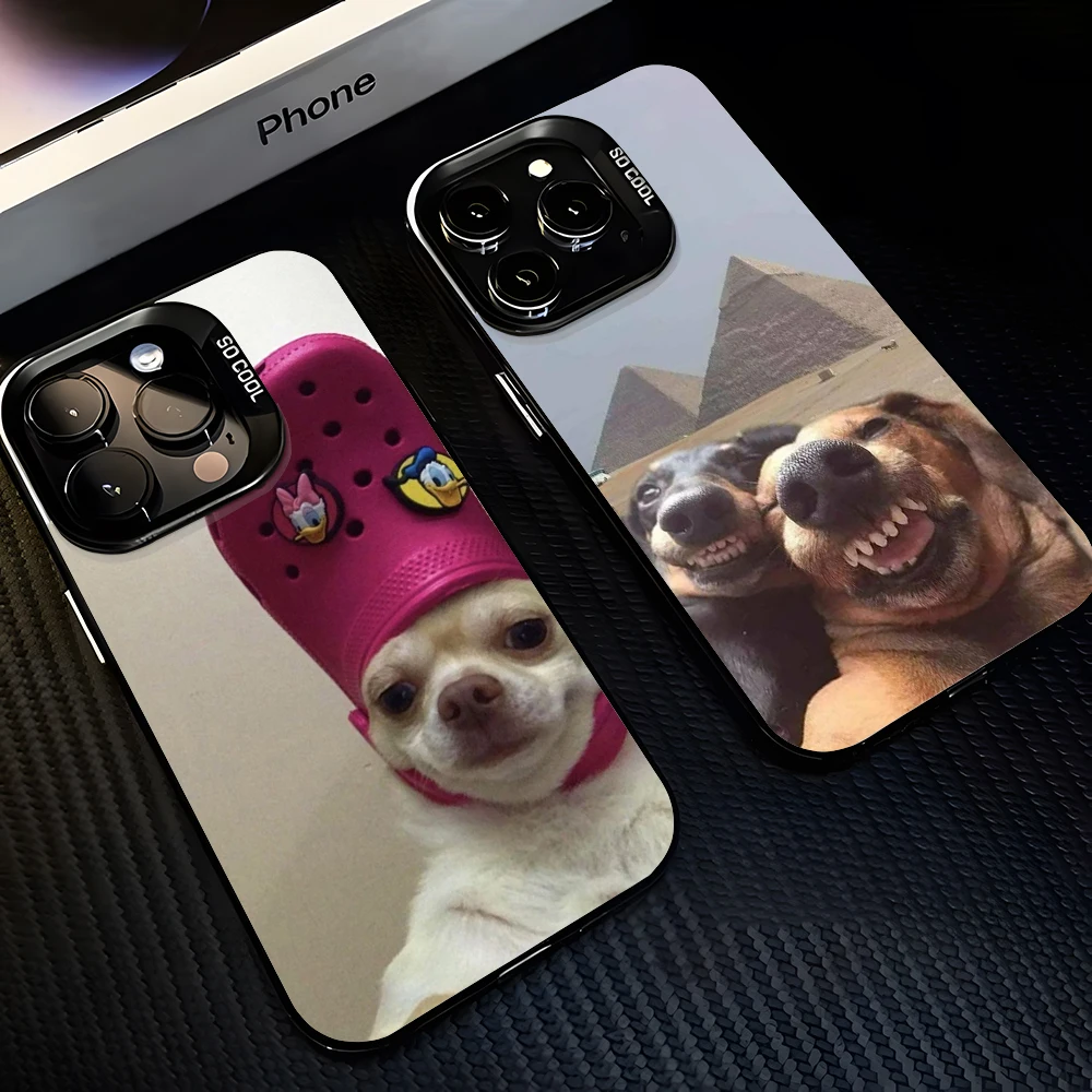 Lustige Hunde- und Katzen-Handyhülle für iPhone 17 16e 16 15 14 13 12 11 mini Pro Max X XR XSMAX 8 7 Air Plus Sturzsichere Matte Rückseite