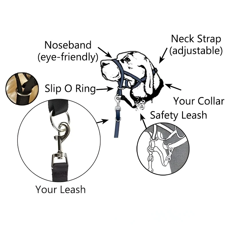 Hundehalsband, Maulkorb, Halfter, Trainingsleine, klassisches Halsband, verstellbares Anti-Bell- und Anti-Biss-Hundegeschirr, Hundezubehör – Detail 3