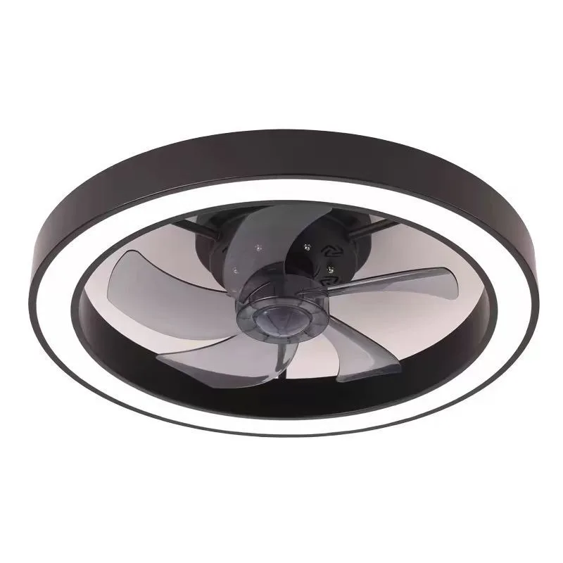 Ceiling fan light, bedroom living room dining room home smart light, ceiling fan light