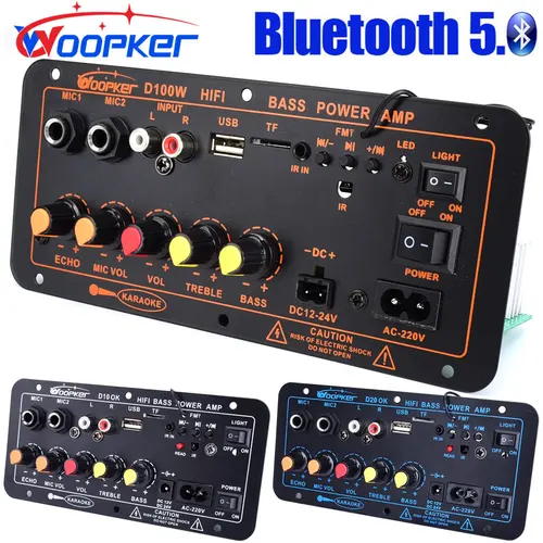 Imagen 1 del producto Woopker-placa amplificadora de Audio Bluetooth, 300W, D100, Subwoofer, micrófono Dual, módulo amplificador, 12V, 24V, 220V, reproductor Medie