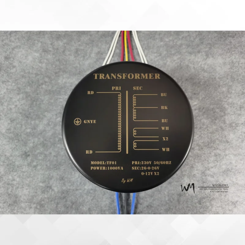 1000W fever grade customized HiFi dual shield encapsulated ring audio power amplifier power transformer