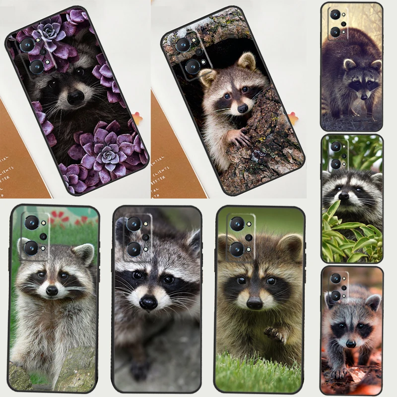 Raccoon For Realme …