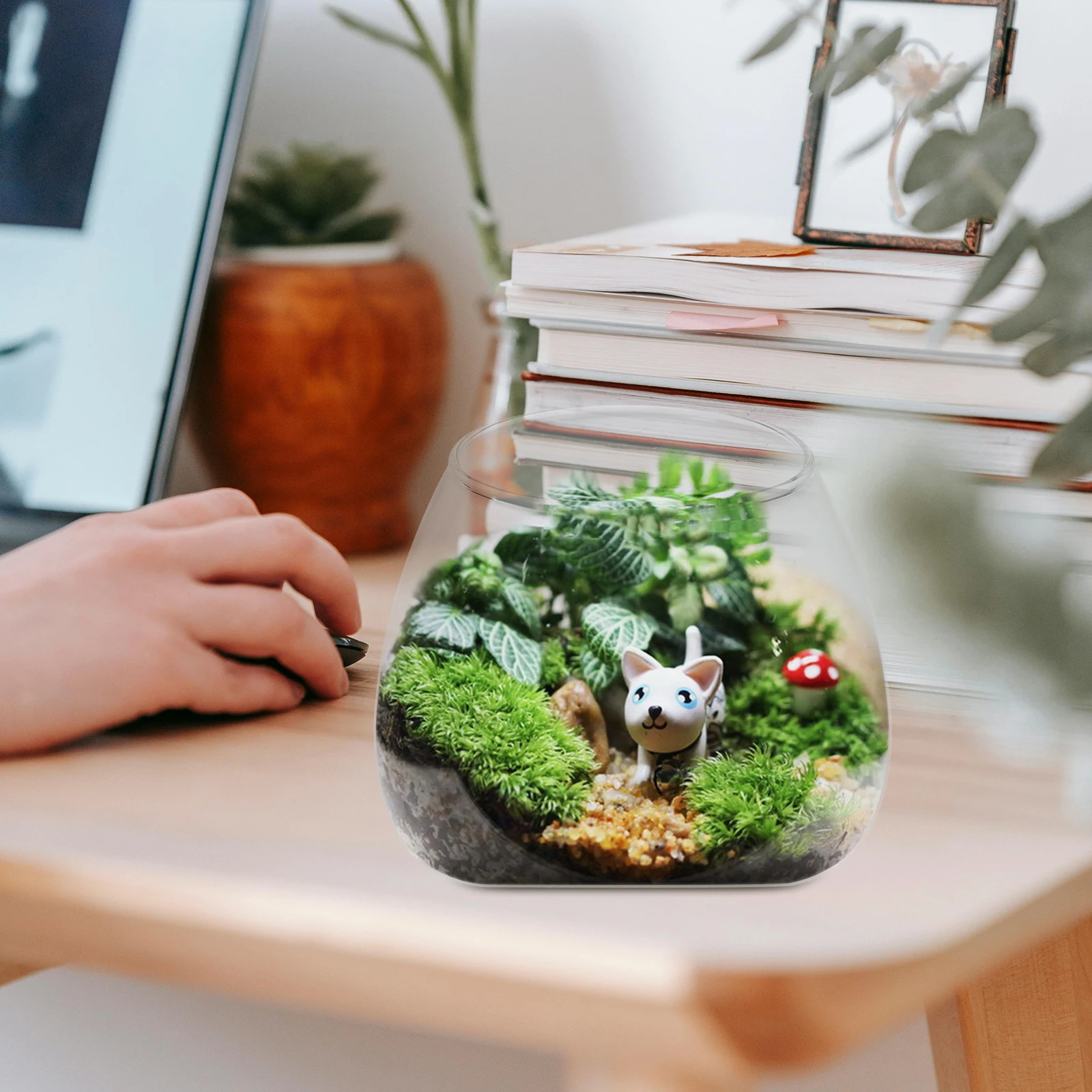 

Terrarium with Plants Planter Terrariums Indoor Cute Flower Pot Vase Glass Bowl Table Office