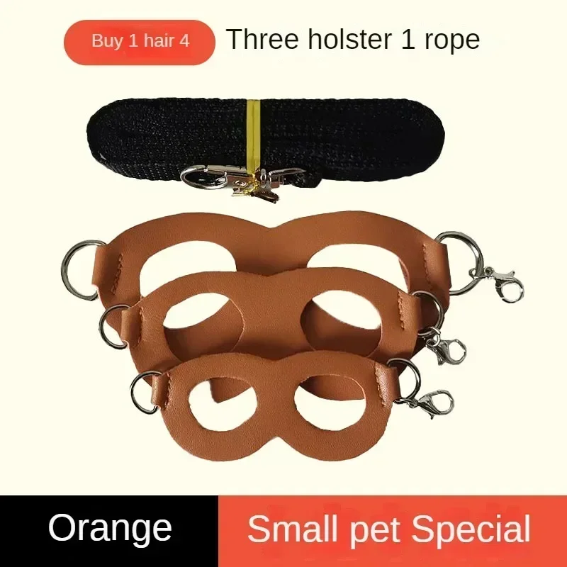 Sugar Glider Traction Rope for Going Out Anti Escape and Anti Bite Rope Hamster Golden Bear Squirrel Pet Supplies Props To Carry