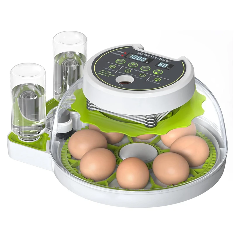 Egg Incubator Temperature And Humidity Digital Control, Supporting 8 Eggs US Plug