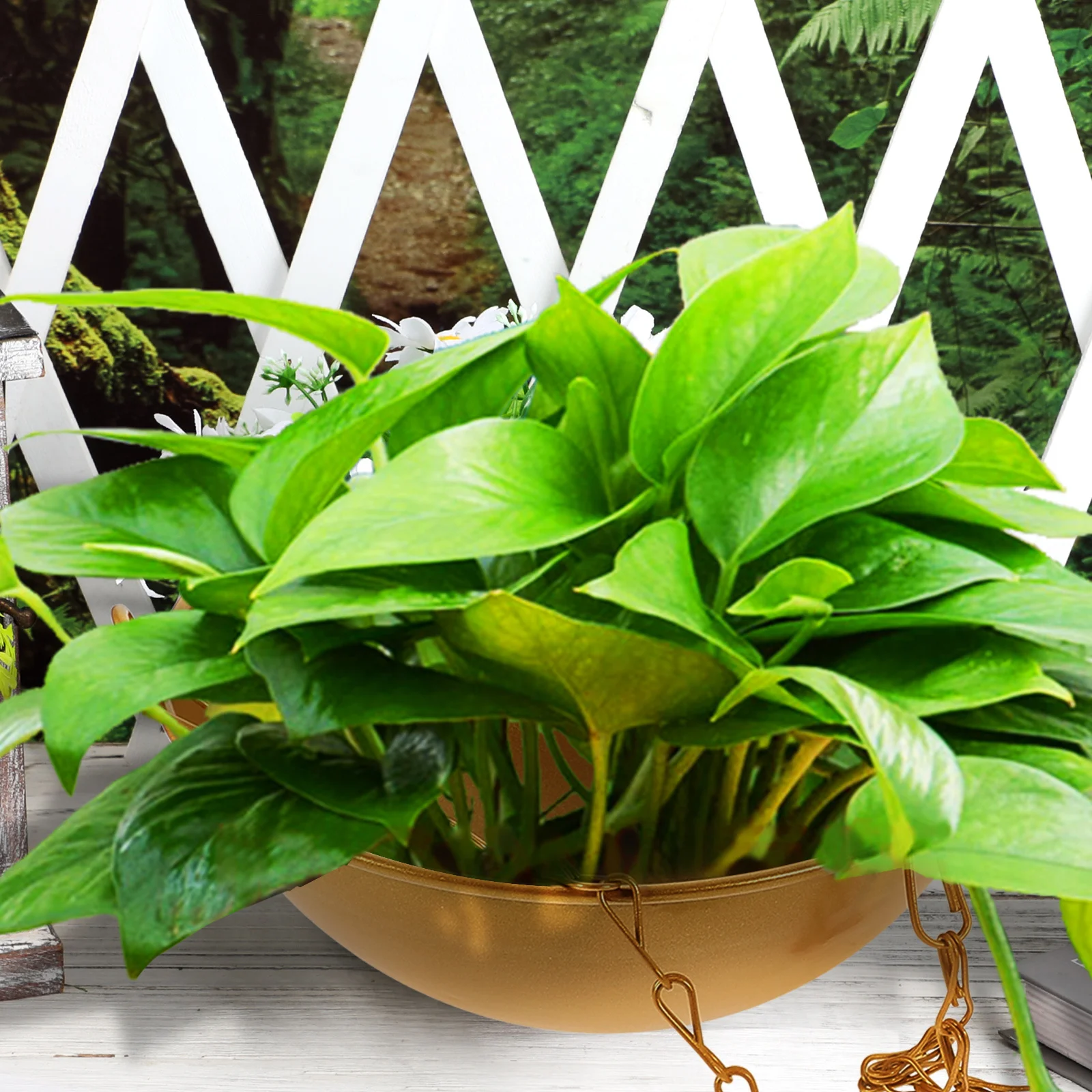 

Hanging Flower Pot with Chain Wall Hanging Planter Basket for Herbs Succulents Balcony Garden Decorative Basket Outdoor Plant