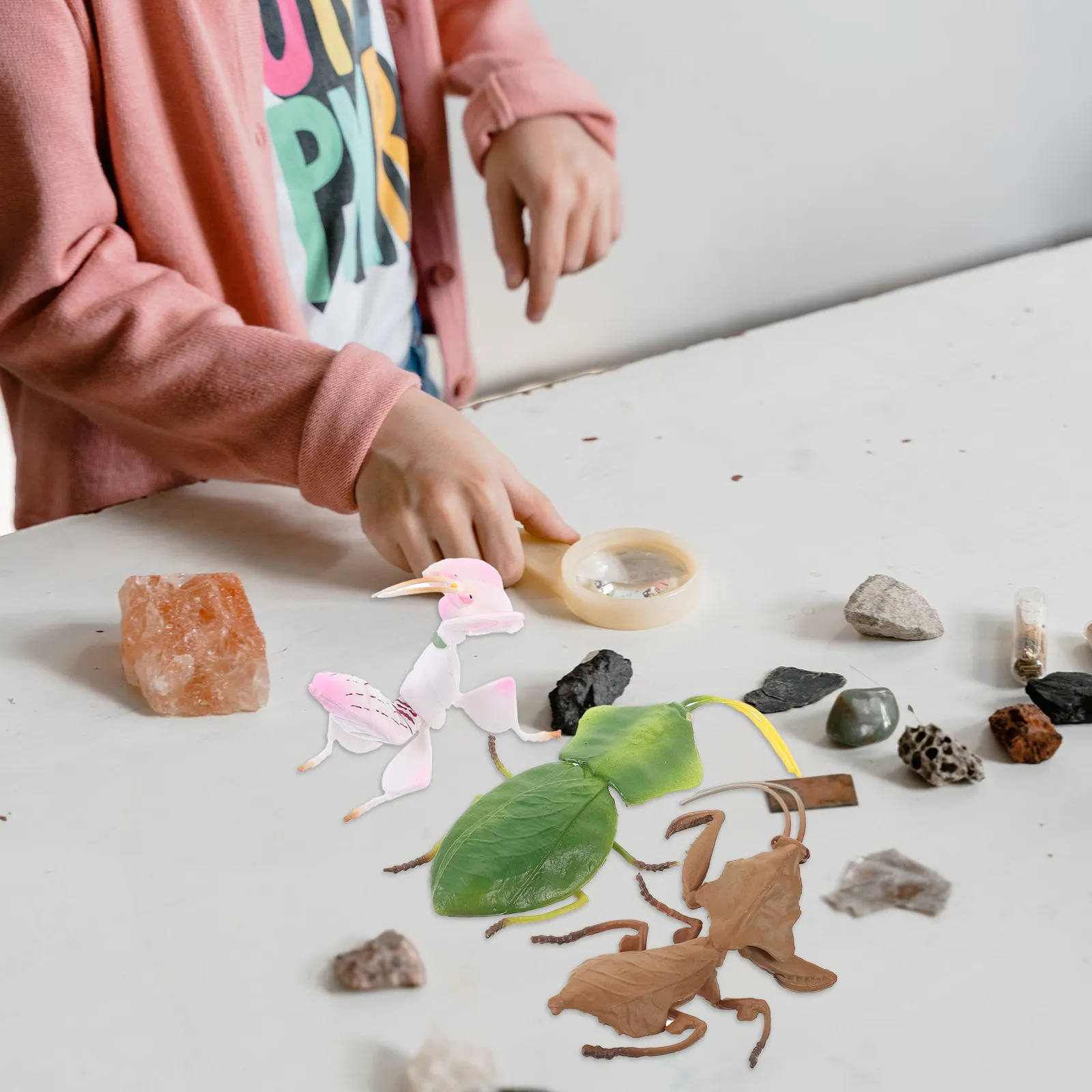 

3Pcs Realistic Plastic Simulation Insect Decoration Mantis Shaped Educational Artificial Insect Ornament for Home Kids Room