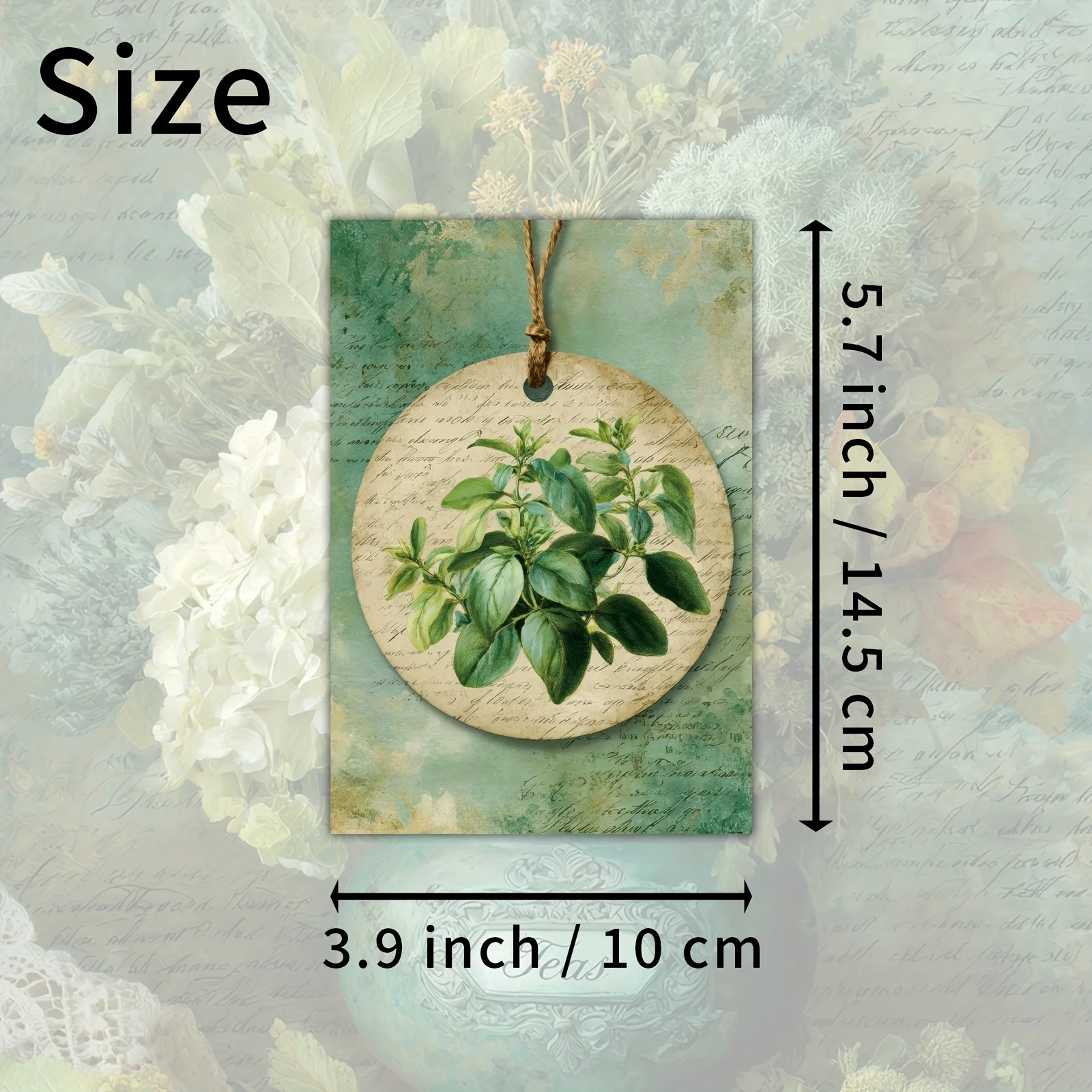 20PCS Retro Plant Herbal Mailing Card Set, Classic Girl Illustrations, Collected Decorative Art Cards, Suitable for Scrapbooks