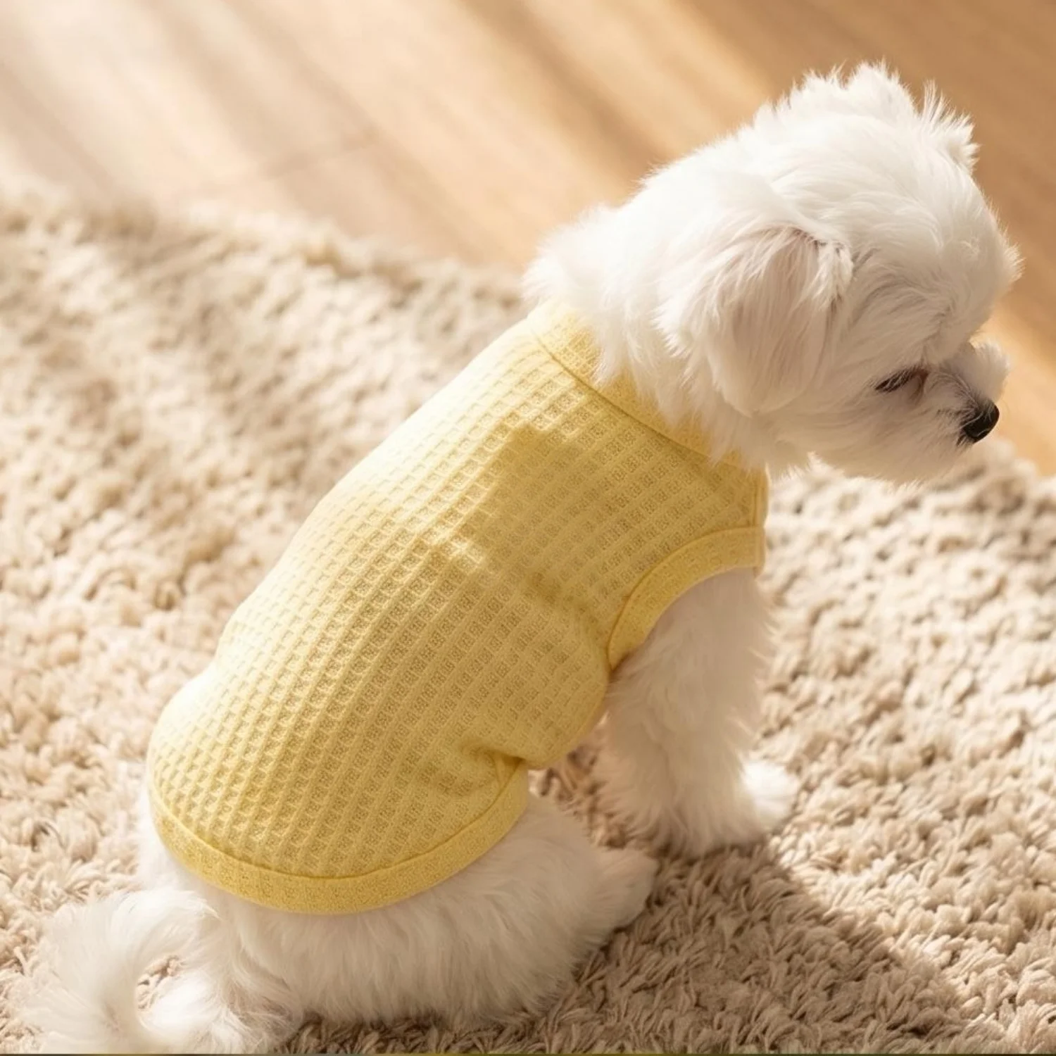 1PC Candy Colors Waffle Cat Dog Soft Breathable Solid Color Pet Vest For Small Dogs, Tank Top For Outdoor Walking Daily HomeWear