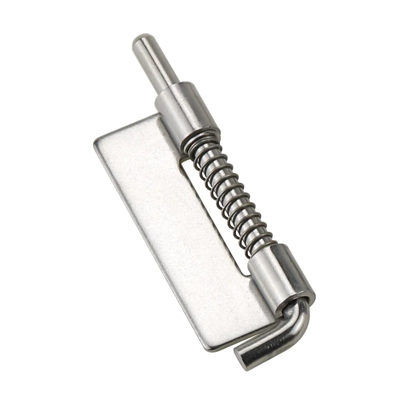 Stainless Steel Spring Loaded Pin Hinge for Machinery Equipment Sheet Metal Cabinet with Concealed Installation