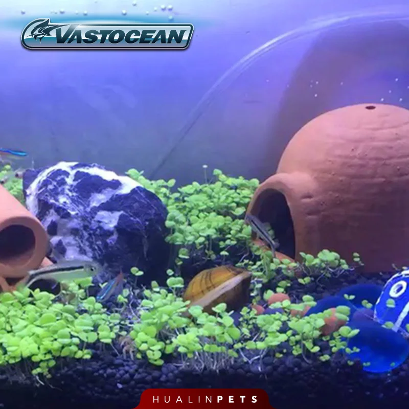 

VASTOCEAN Terracotta Clay Cave for Aquarium, Pleco & Shrimp Breeding Cave - Hiding Pot for Cichlids, Fish and Shrimp Shelter