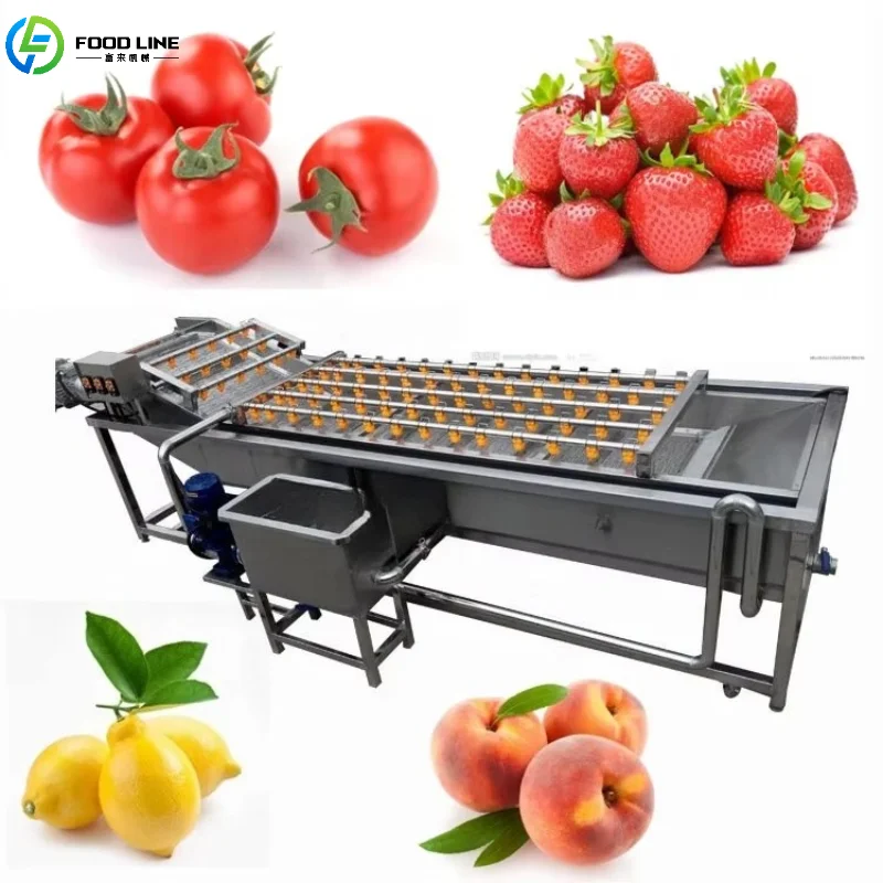 Customized Commercial Food Washing Machine Efficient Clean Mango Stainless Steel Eddy Current Apple Washing Equipment