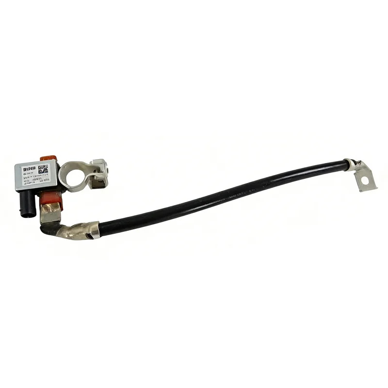 X5 X7 Z4 Bm W Batte…