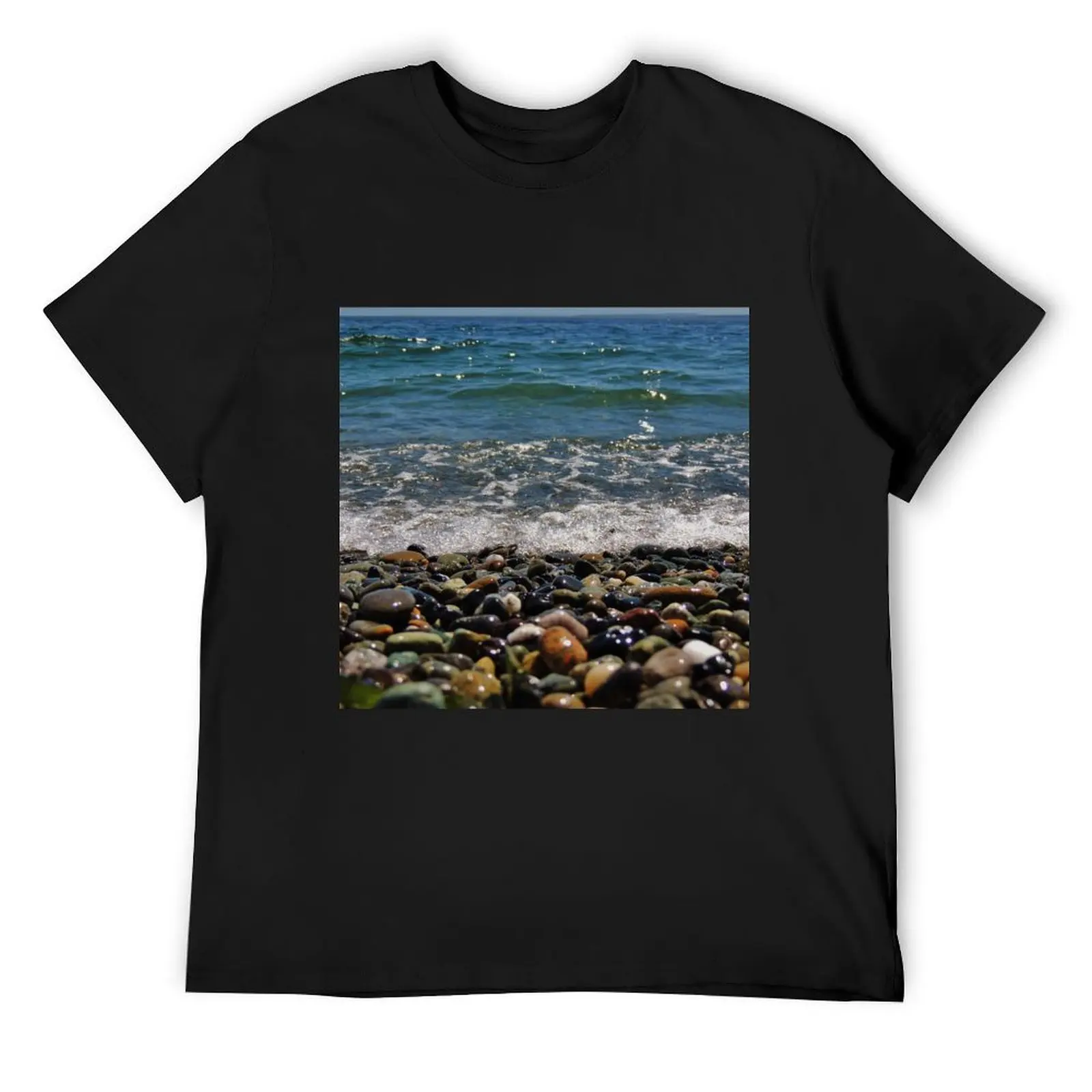 

Salish Sea Shore T-Shirt cute tops graphics boys whites Anime t-shirt black t-shirts for men