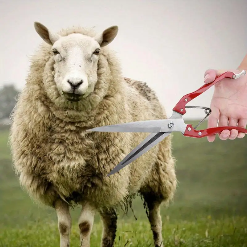 1 Pc Sheep Clipper Sheep Shear Multifunctional Manual Steel Wool Trimming Scissor with Spring for Farm Use