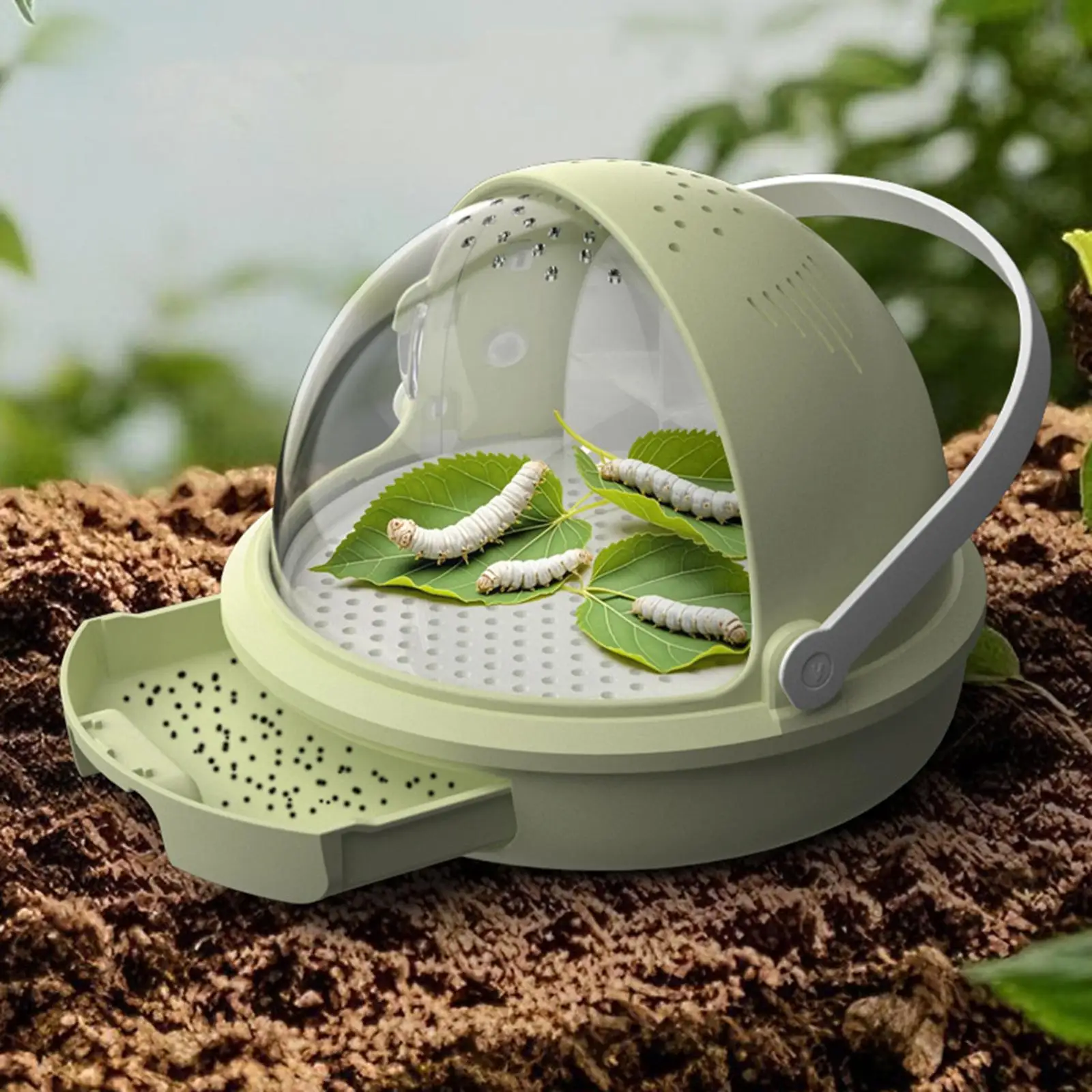 

Small Animal Silkworm Habitat Box Transparent Plastic Cage for Science Classroom and Home Breeding